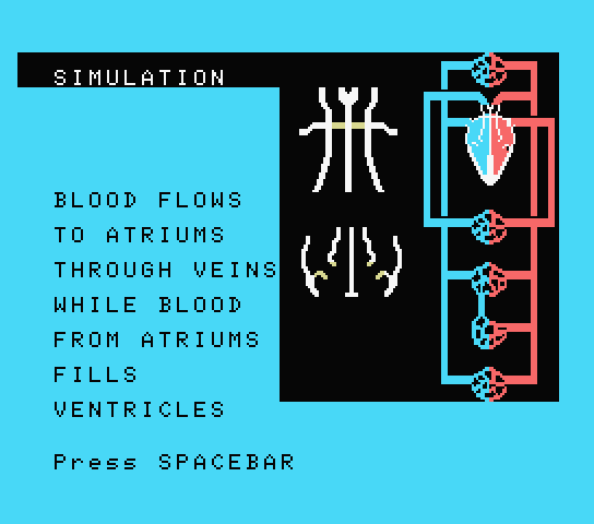 Ibn Sina 1 - Circulatory System